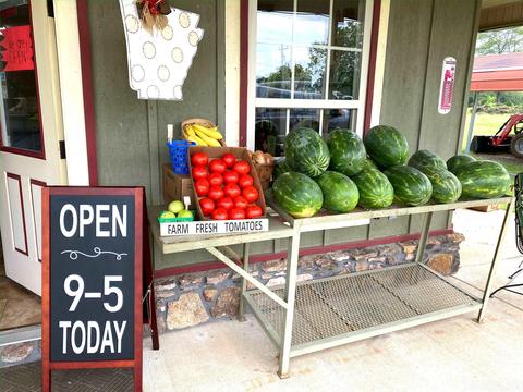603 N Hwy 25, Guy, AR 72061 photo 30