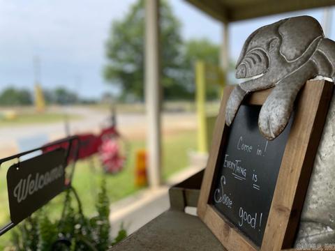 603 N Hwy 25, Guy, AR 72061 photo 35