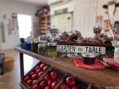 603 N Hwy 25, Guy, AR 72061 photo 34