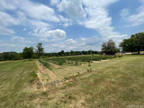603 N Hwy 25, Guy, AR 72061 photo 41