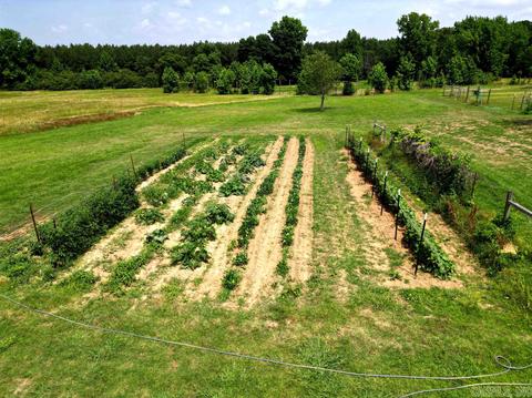 603 N Hwy 25, Guy, AR 72061 photo 8