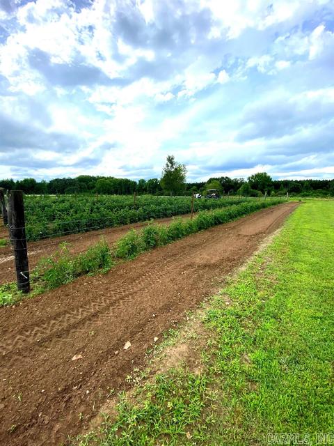 603 N Hwy 25, Guy, AR 72061 photo 7