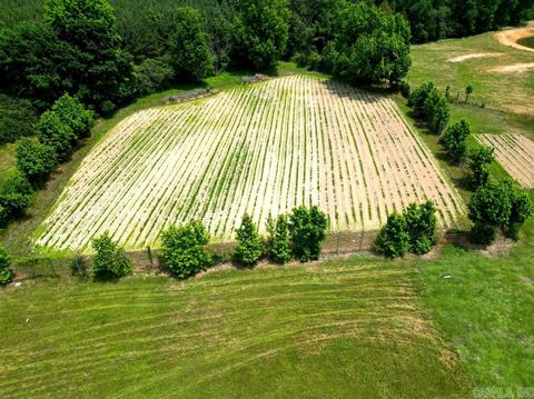 603 N Hwy 25, Guy, AR 72061 photo 13