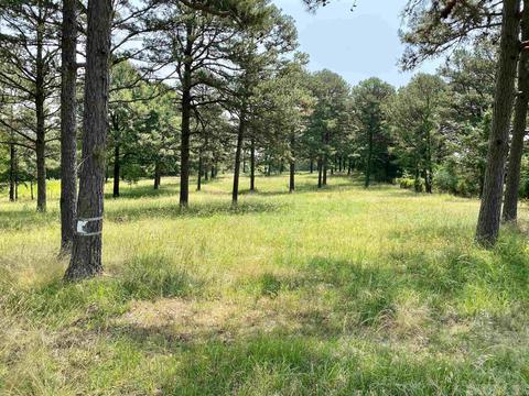 286 Shiloh Rd, Mcrae, AR 72102 photo 10