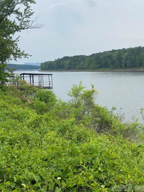 2484 Hwy 330 E, Clinton, AR 72031 photo 12