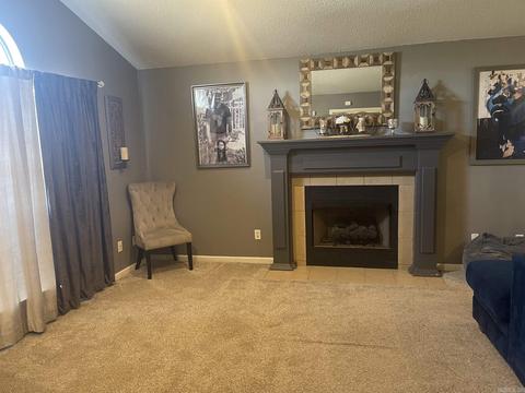 13416 Melrose Dr, Alexander, AR 72002 photo 6