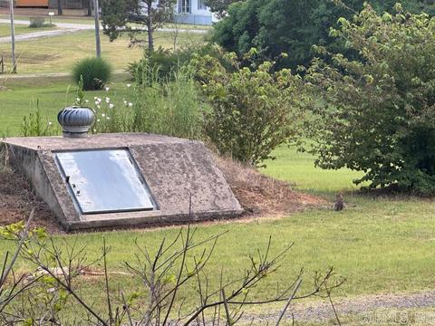 288 Redress Ln, Bee Branch, AR 72013 photo 3