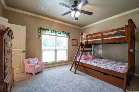 135 May Wood, Ward, AR 72176 photo 23