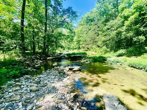 532 Lick Frk, Mountain View, AR 72560 photo 20
