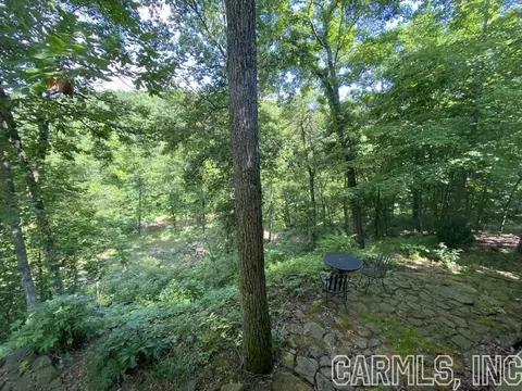 532 Lick Frk, Mountain View, AR 72560 photo 32