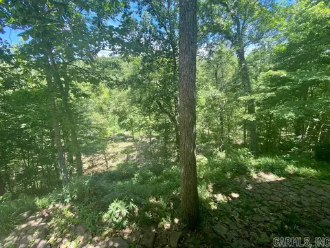 532 Lick Frk, Mountain View, AR 72560 photo 27