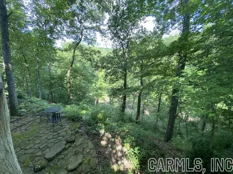 532 Lick Frk, Mountain View, AR 72560 photo 33
