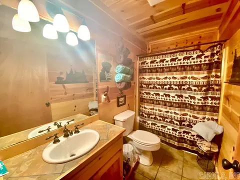 532 Lick Frk, Mountain View, AR 72560 photo 11