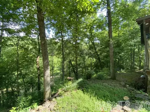 532 Lick Frk, Mountain View, AR 72560 photo 31