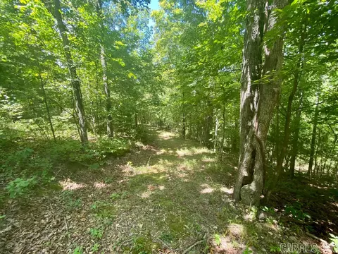 532 Lick Frk, Mountain View, AR 72560 photo 23