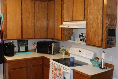 111 Bohannan Dr, Marshall, AR 72650 photo 7