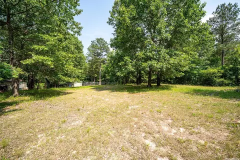 12324 Skyview Dr, Bauxite, AR 72011 photo 4