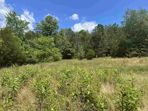 8703 W Fork Ln, Harrison, AR 72601 photo 27