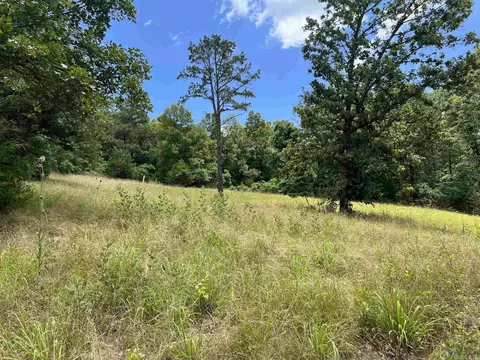 8703 W Fork Ln, Harrison, AR 72601 photo 23