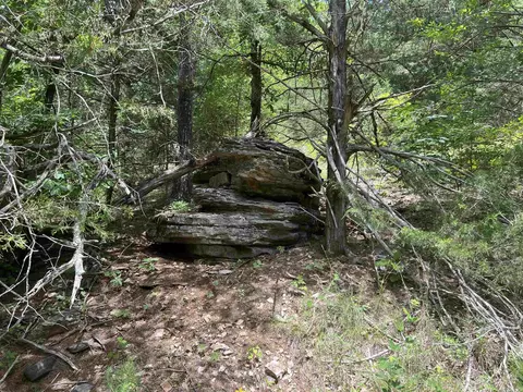 8703 W Fork Ln, Harrison, AR 72601 photo 38