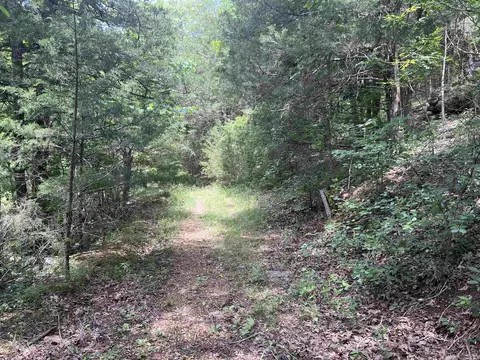 8703 W Fork Ln, Harrison, AR 72601 photo 28