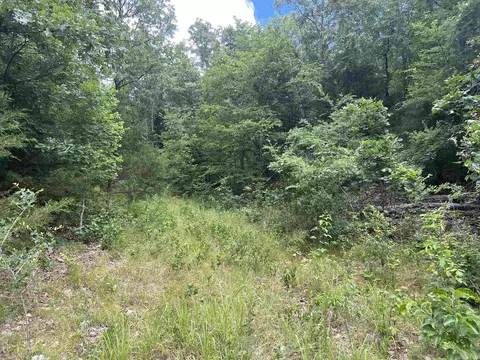 8703 W Fork Ln, Harrison, AR 72601 photo 39