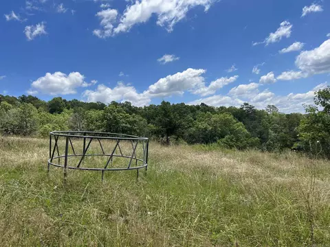 8703 W Fork Ln, Harrison, AR 72601 photo 21