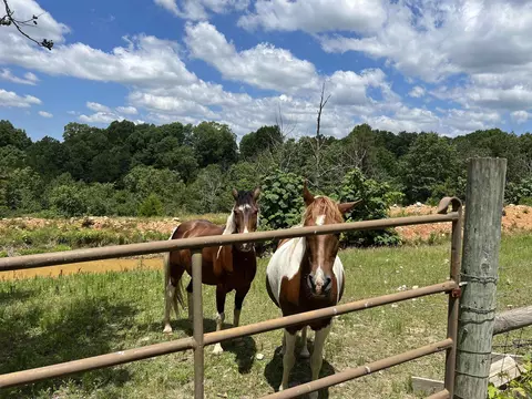 8703 W Fork Ln, Harrison, AR 72601 photo 18