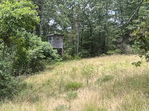 8703 W Fork Ln, Harrison, AR 72601 photo 24