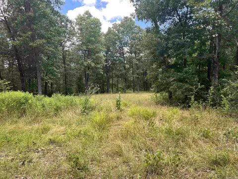 8703 W Fork Ln, Harrison, AR 72601 photo 33