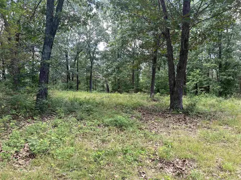 8703 W Fork Ln, Harrison, AR 72601 photo 32