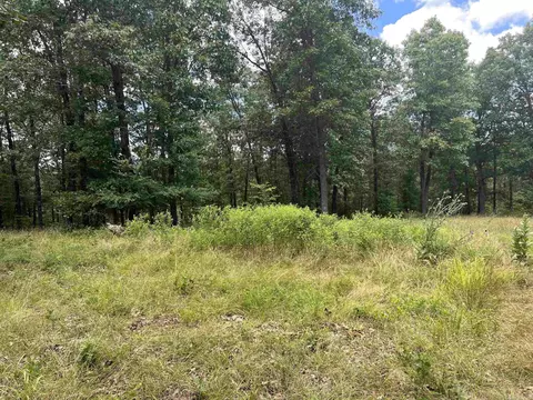 8703 W Fork Ln, Harrison, AR 72601 photo 35