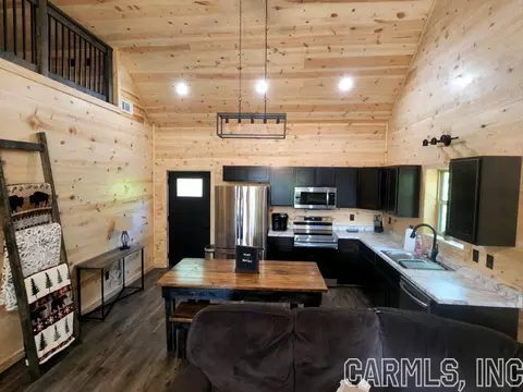 347 Courseys Dr, Saint Joe, AR 72675 photo 8