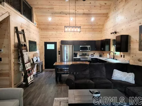 347 Courseys Dr, Saint Joe, AR 72675 photo 5
