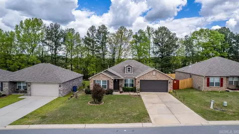 3080 Sage Grass Ln, Alexander, AR 72002 photo 4