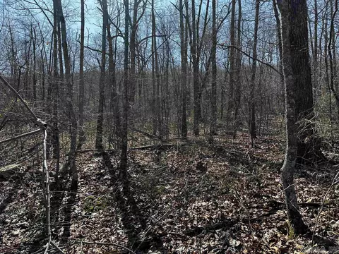 00 Peyton Mountain Rd, Dennard, AR 72629 photo 1