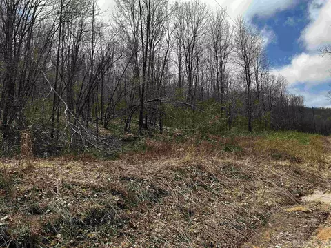 00 Peyton Mountain Rd, Dennard, AR 72629 photo 5