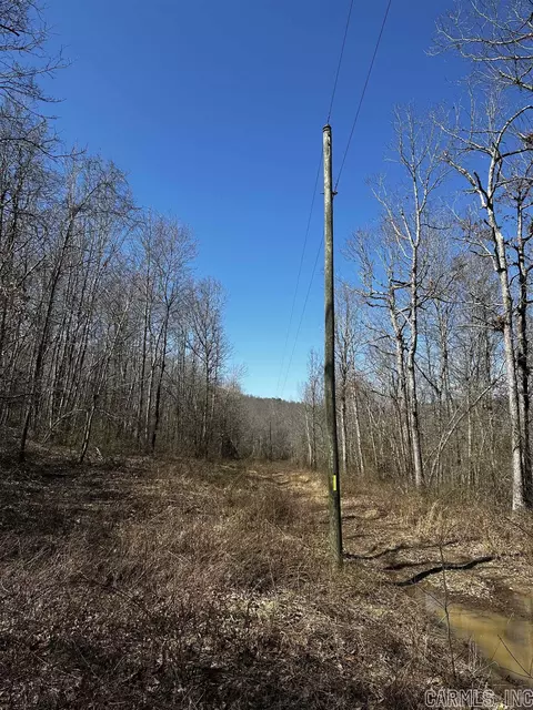 00 Peyton Mountain Rd, Dennard, AR 72629 photo 3