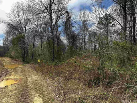 00 Peyton Mountain Rd, Dennard, AR 72629 photo 4