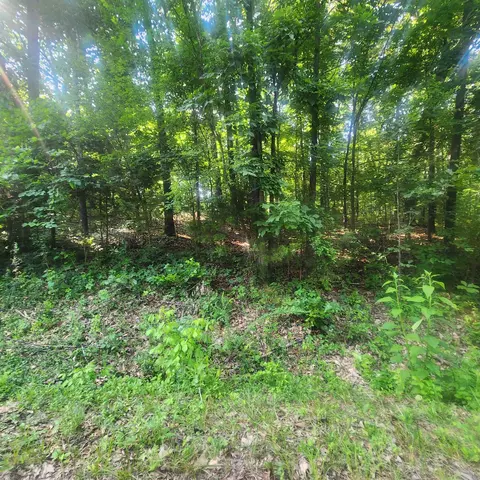 7 Navajo Trce # l, Cherokee Village, AR 72529