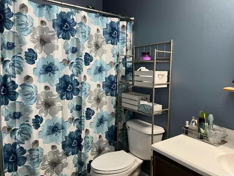206 Glenn Oaks, Haskell, AR 72015 photo 18