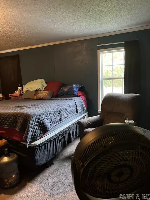 4355 Sunny Slope Rd, Edgemont, AR 72044 photo 19