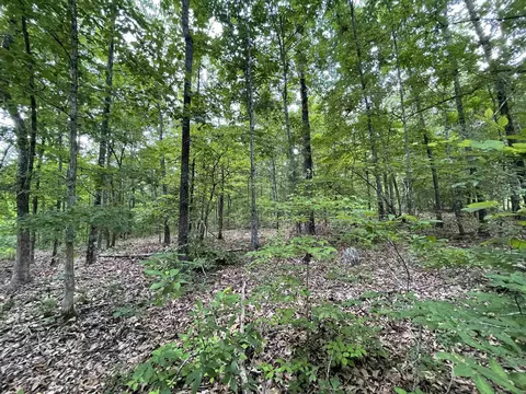 tbd River Oaks Trl, Mammoth Spring, AR 72554 photo 6