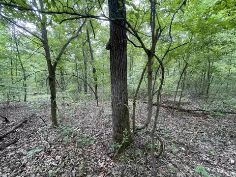 tbd River Oaks Trl, Mammoth Spring, AR 72554 photo 10