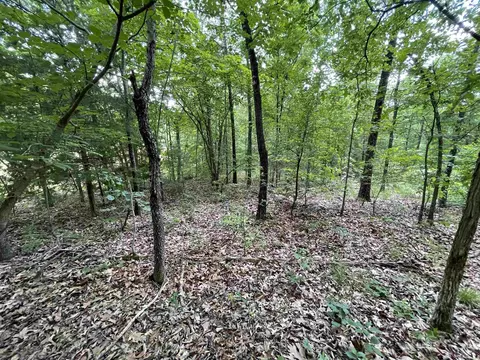 tbd River Oaks Trl, Mammoth Spring, AR 72554 photo 9