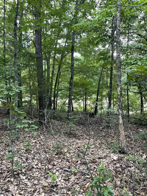 tbd River Oaks Trl, Mammoth Spring, AR 72554 photo 14