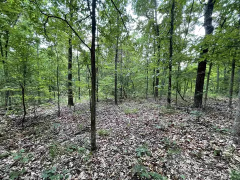 tbd River Oaks Trl, Mammoth Spring, AR 72554 photo 8
