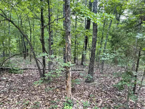 tbd River Oaks Trl, Mammoth Spring, AR 72554 photo 1