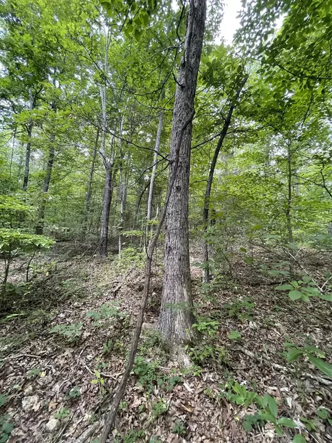 tbd River Oaks Trl, Mammoth Spring, AR 72554 photo 11