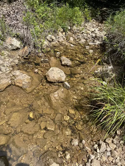 tbd River Oaks Trl, Mammoth Spring, AR 72554 photo 5